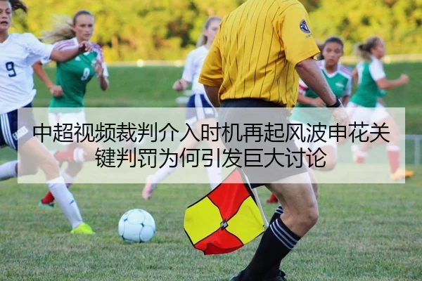中超视频裁判介入时机再起风波申花关键判罚为何引发巨大讨论